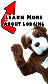 Chester - Learn more about Lodging