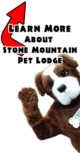 Chester - Learn more about Stone Mountain Pet Lodge