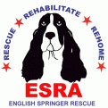 ESRA Logo