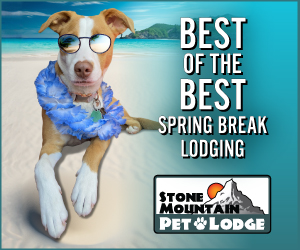 Spring Break Dog Boarding