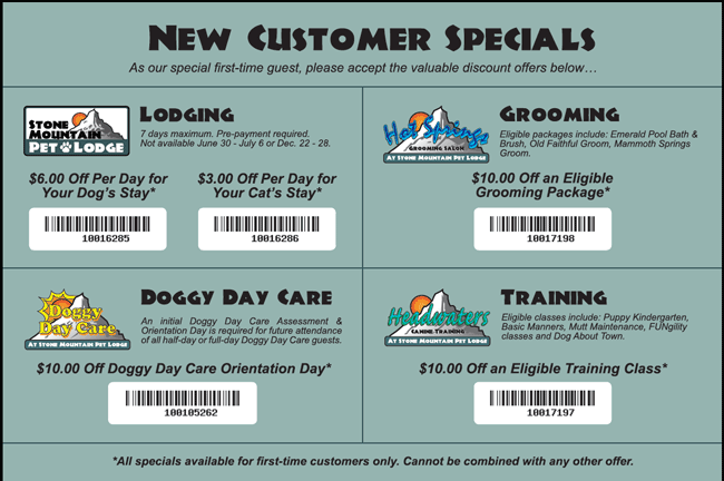 New Customer Specials / Referral Program Flyer