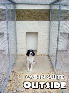 Cabin Suite