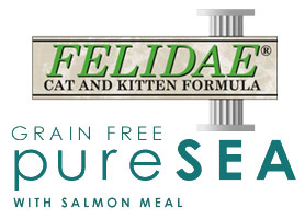 Felidae Pure Sea Logo