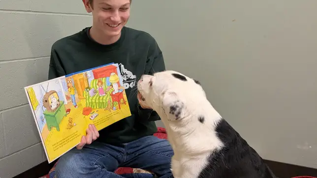 Dog Boarding Brooklyn Park