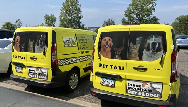Pet taxi