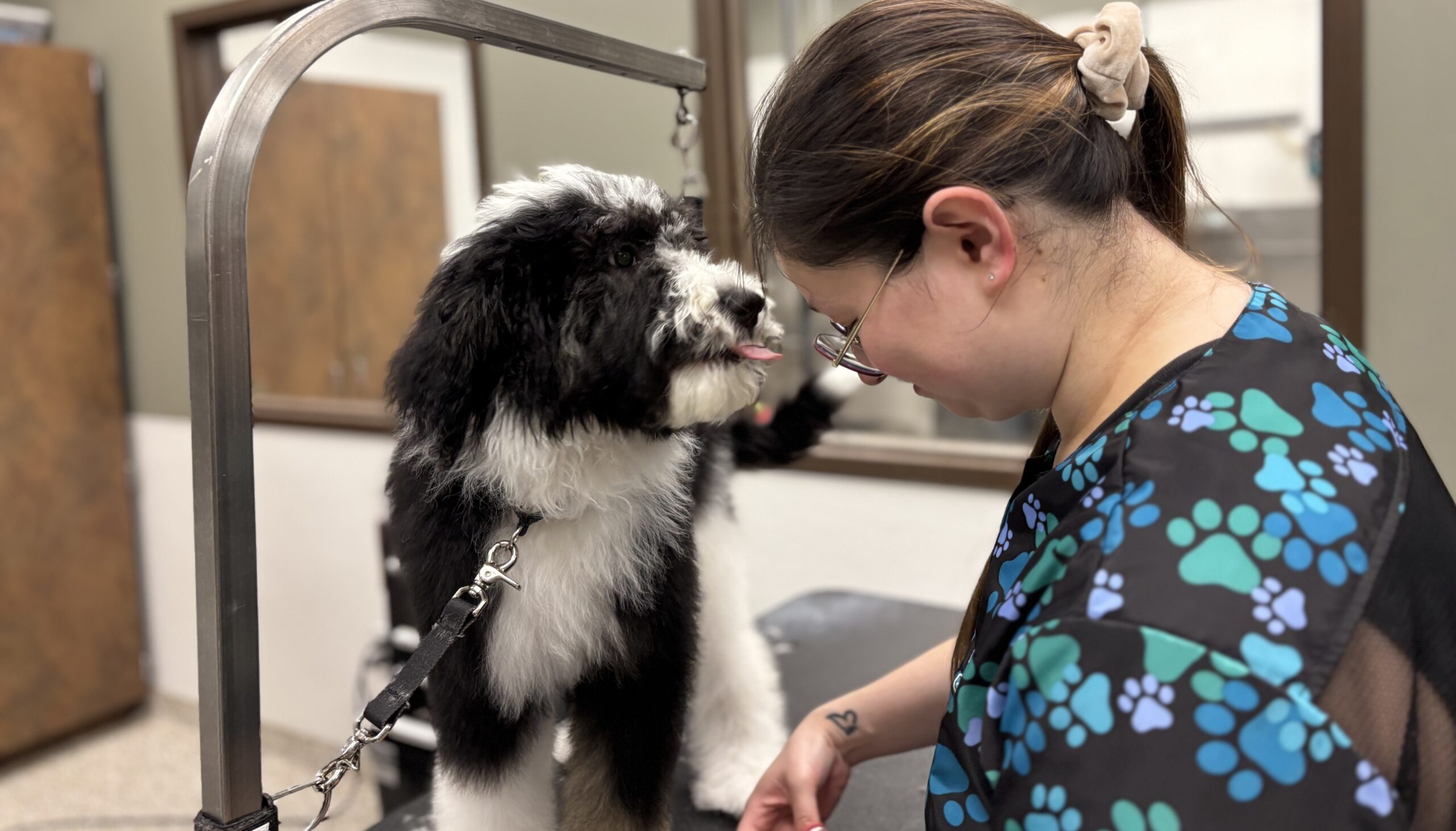 Puppy Groom Top Block