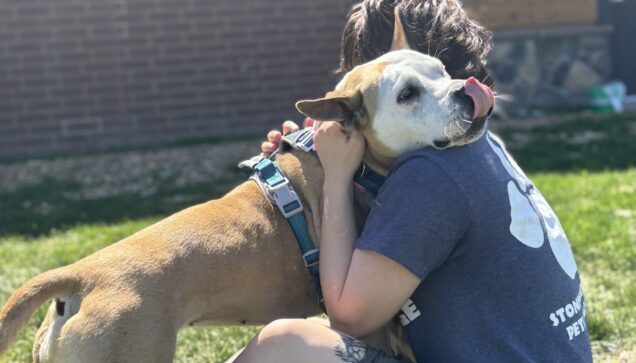 Dog giving staff member a hug and sticking tongue out at Stone Mountain Pet Lodge near Osseo, MN.
